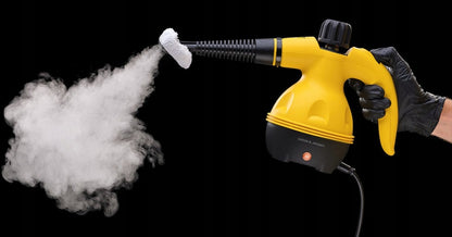 Steam cleaner